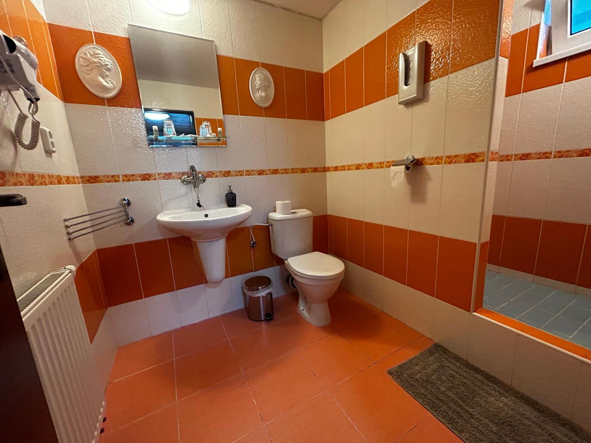 Penzion Rozalia Hotell Košice Exteriör bild